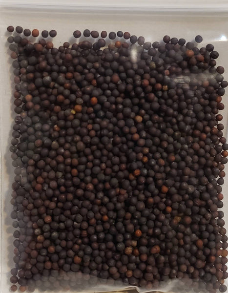 Yu Choy Sum Seeds Heirloom Non-GMO (2000+ Seeds)