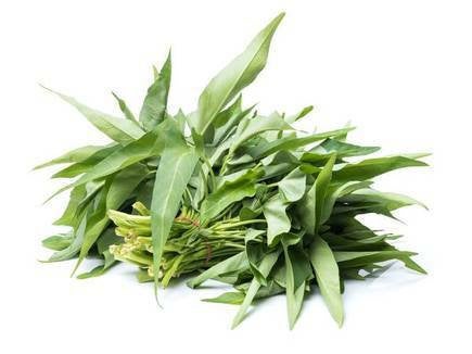 Water Spinach Ong Choy Seeds Heirloom Non-GMO (125+ Seeds)