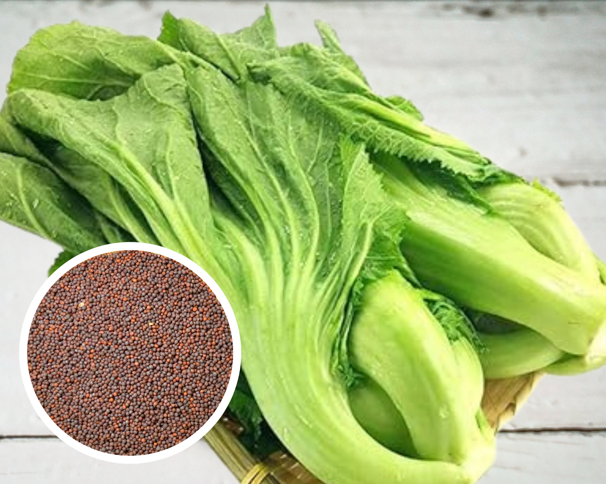 asian seeds for planting Chinese Mustard Greens, Zaub Ntsuab Kav Ntswj Loj Seeds Heirloom Non-G – Hello May Garden