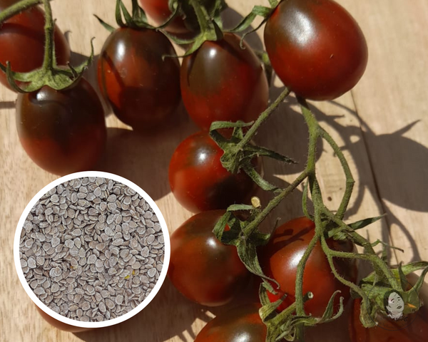 Tomato Chocolate Plum Seeds Heirloom Non-GMO (25+ Seeds)