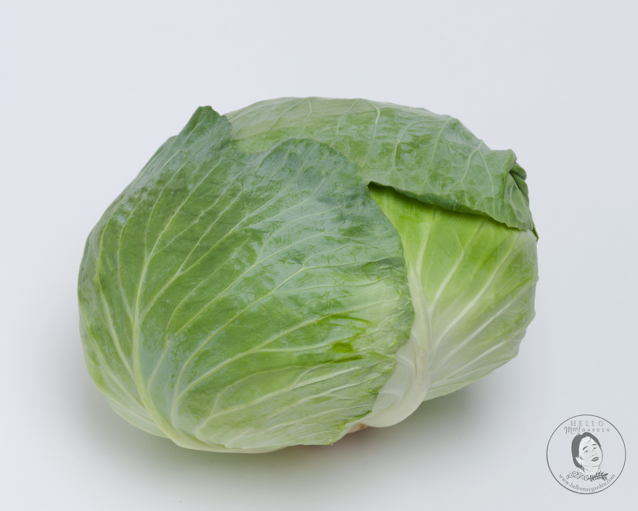 Cabbage, Tendersweet (F1) Starter Live Plants - 6 Seedlings