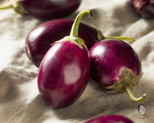 Indian Eggplant Purple Vankaya Starter Live Plants - 4 Seedlings