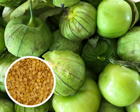 Pancho (F1) Tomatillo Seeds Non-GMO (25+ seeds)