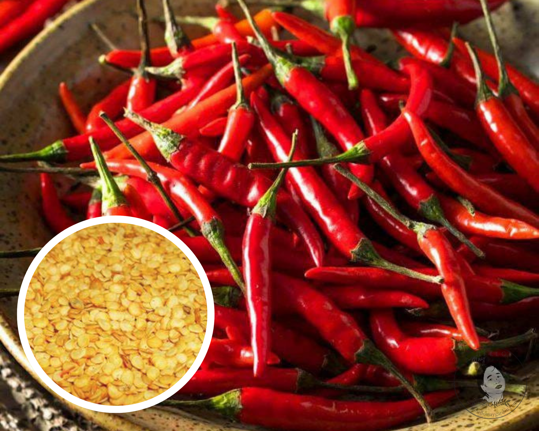dry chilli seeds for planting Thai Hot Chili Pepper Seeds Heirloom Non-GMO (50+ Seeds)