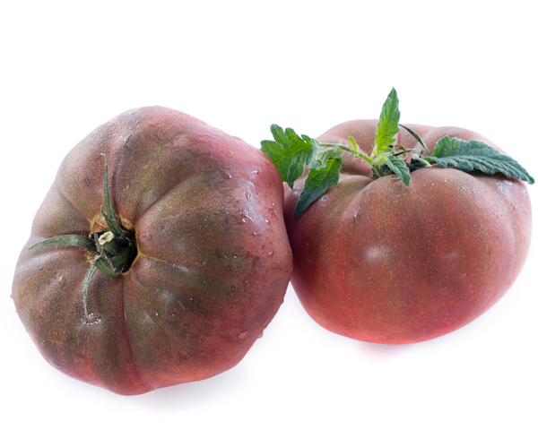 Black Krim Tomato Starter Live Plants - 2.5" pot