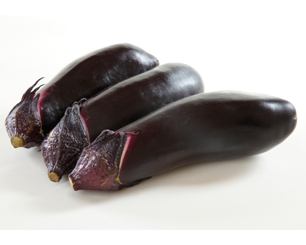 Orient Express Eggplant Starter Live Plants - 4 Seedlings