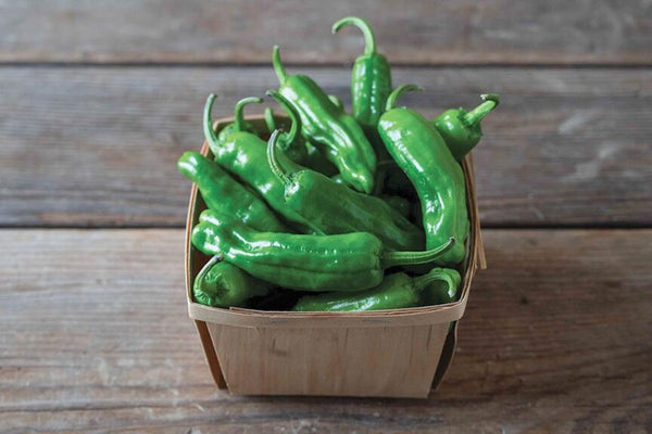 Italian Pepperoncini (Paisan), Sweet Pepper Live Starter Plants - 4 Seedlings