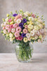 Lisianthus Flower, Mixed Varieties Starter Live Plant - 6 Seedlings