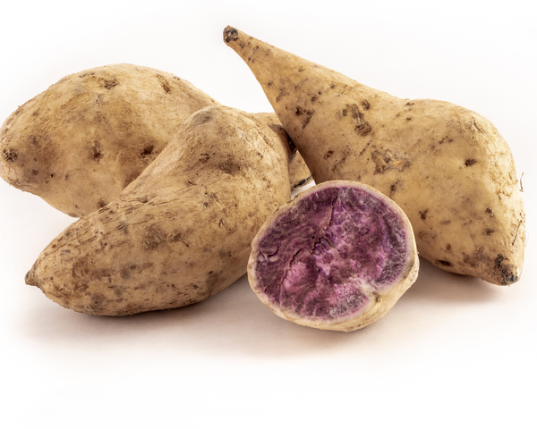 Okinawan Sweet Potatoes, White Skin Purple Flesh Potato Starter Live Plants - 4 Rooted Slips