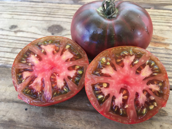 Black Krim Tomato Starter Live Plants - 4 Seedlings