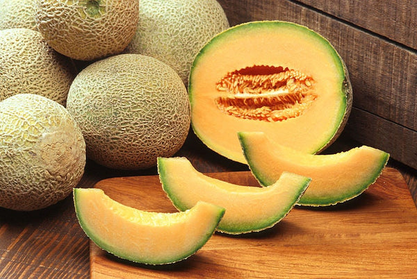 Hale's Best Jumbo Melon Starter Live Plants - 4 Seedlings