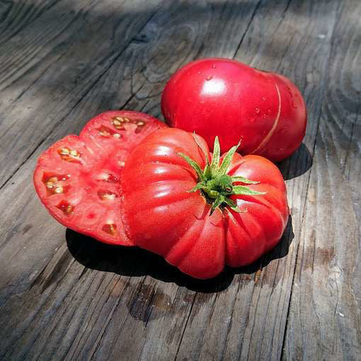 Brandywine Pink Tomato Heirloom Starter Live Plants - 4 Seedlings