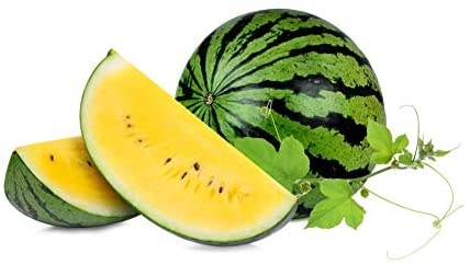 Yellow Doll Hybrid Watermelon Starter Live Plants - 4 Seedlings