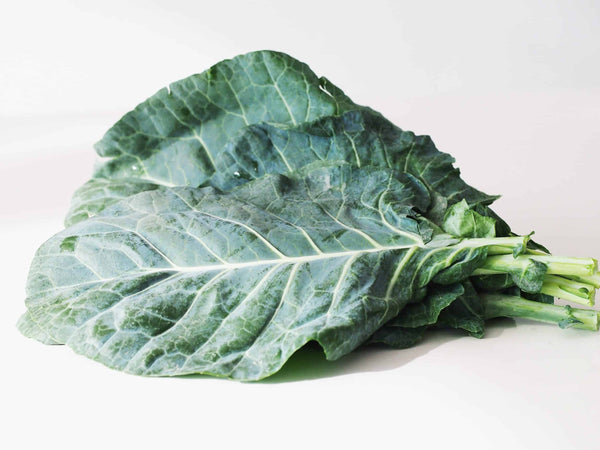 Collard Greens Starter Live Plants - 6 Seedlings