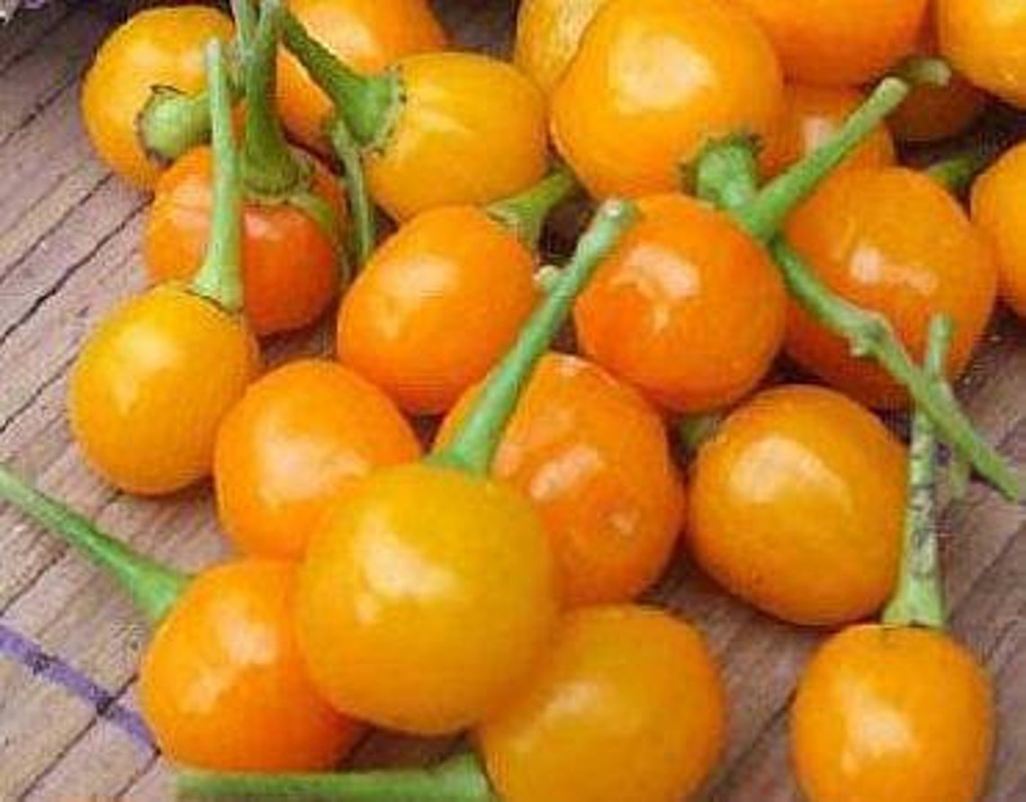 Pepper Demon Gold Drop Seeds Non-GMO (15+ Seeds)