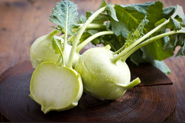 Green Kohlrabi, German Turnip Starter Live Plants - 6 Seedlings