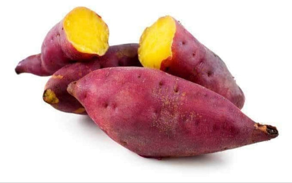Japanese Sweet, Red Skin Yellow Flesh Potato Starter Live Plants - 4 Rooted Slips