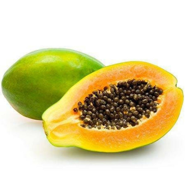 Papaya Fruit Tree Starter Live Plant - 2.5" pot