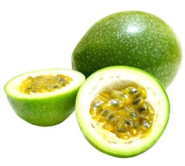 Green Passion Fruit Vine Live Plants - 1 Seedling