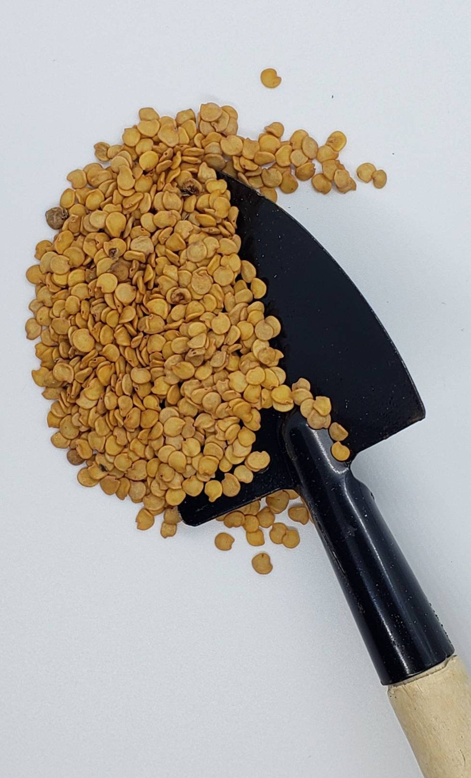 Thai Eggplant Round Green Seeds Non-GMO (100+ Seeds)  Hello May Garden