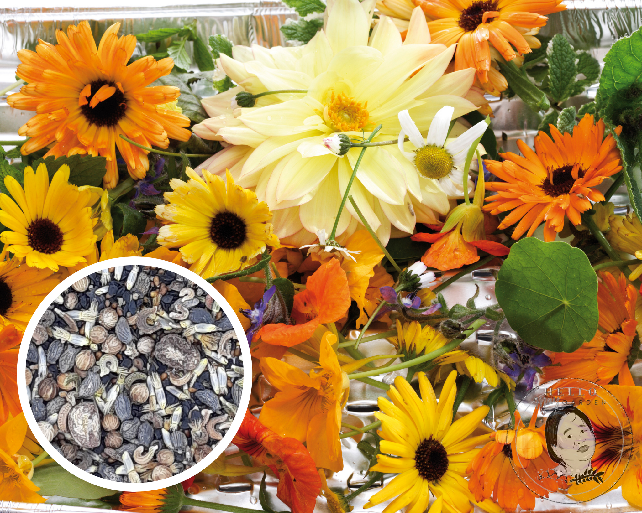 edible flower seed mix Edible Flower Mix Seeds (6 grams) – Hello May Garden