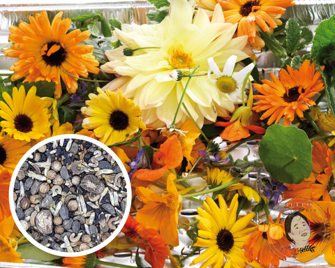 Edible Flower Mix Seeds (6 grams)