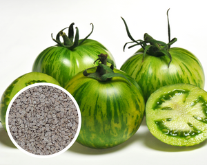 Green Zebra Tomato Seeds Heirloom Non-GMO (50+ Seeds)