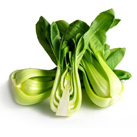 Bok Choy Seeds Heirloom Non-GMO (2000+ Seeds)