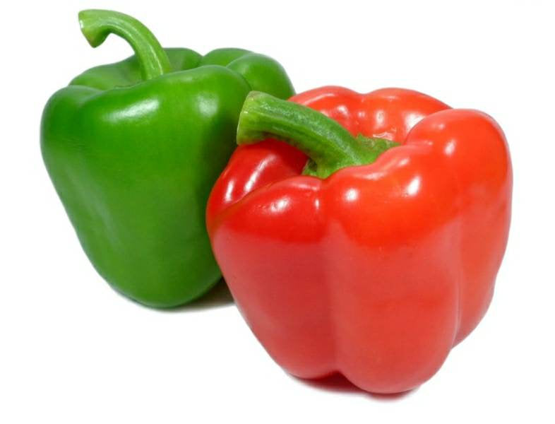 Sweet Bell Pepper Starter Live Plant Variety Colors - 4 Seedlings