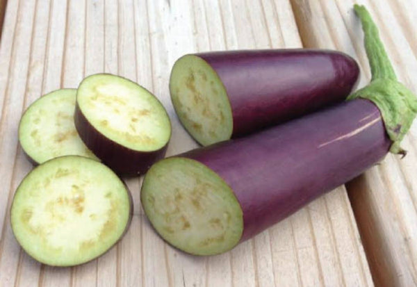 Purple Long Eggplant Starter Live Plants - 4 Seedlings