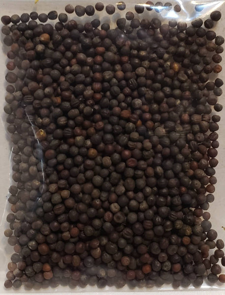 Gai Lan Chinese Broccoli Seeds Heirloom Non-GMO (1200+ Seeds)