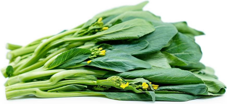 Yu Choy Sum Seeds Heirloom Non-GMO (2000+ Seeds)