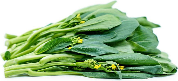 Yu Choy Sum Seeds Heirloom Non-GMO (2000+ Seeds)