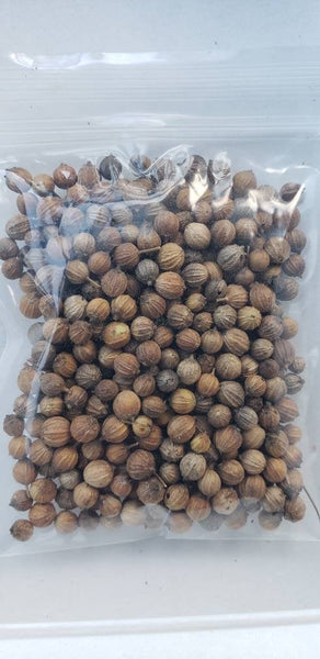 Coriander Cilantro Seeds Heirloom Herbs Non-GMO (300+ Seeds)