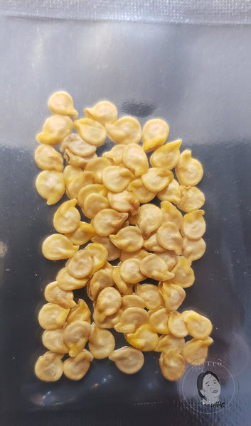Orange Habanero Pepper Seeds Heirloom Non-GMO (50+ Seeds)