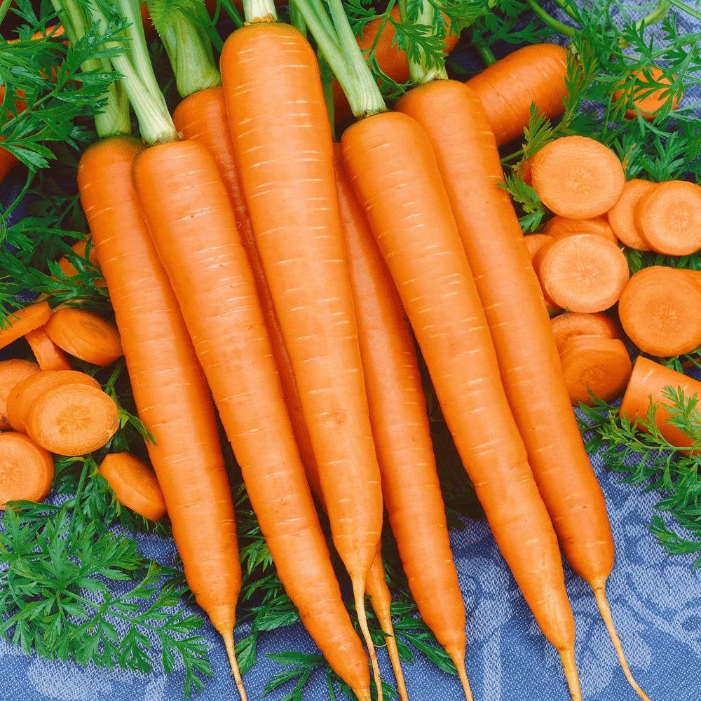 Carrot Tendersweet Seeds Heirloom Non-GMO (200+ Seeds)