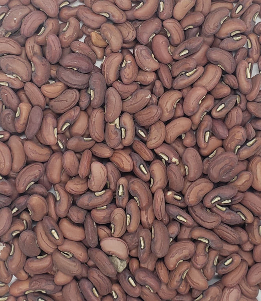 Red Yard Long Bean Seeds Heirloom Non-GMO (50+ Seeds)