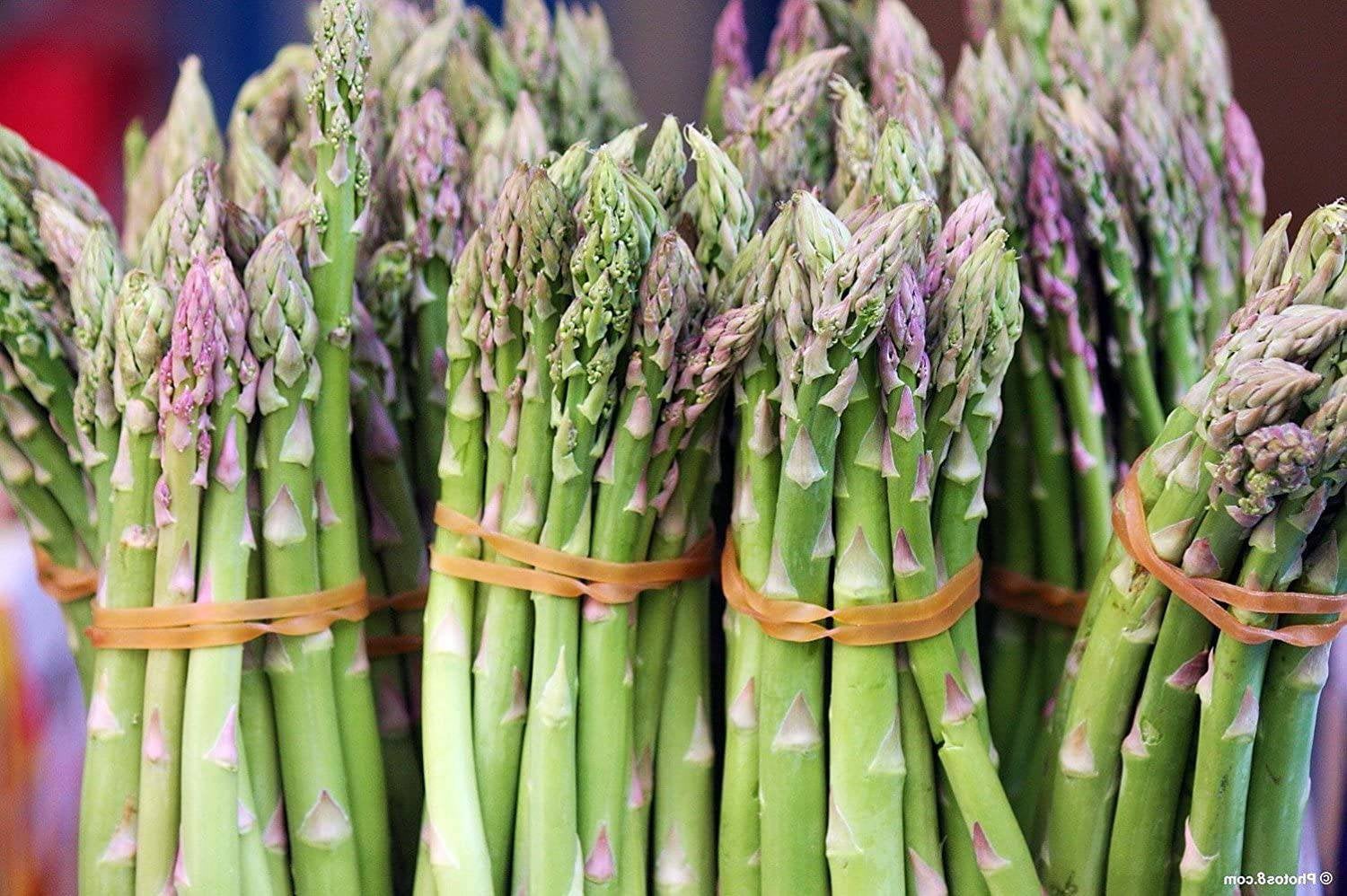 Asparagus - Mary Washington IMP Seeds Non-GMO (100+ Seeds)