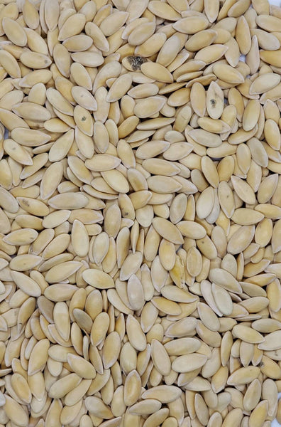 Cantaloupe Honey Rock Seeds Heirloom Non-GMO - 50+ Seeds