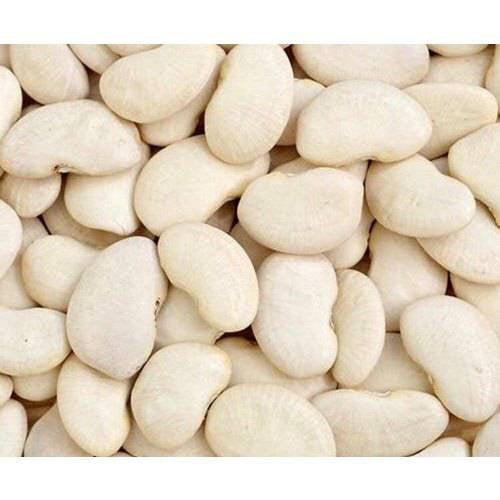 Bean Lima Fordhook 242 Bush Seeds Heirloom Non-GMO (25+Seeds)