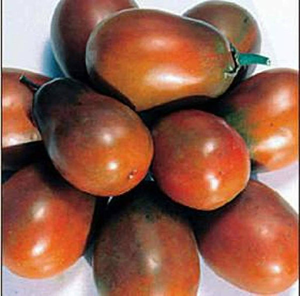 Tomato Chocolate Plum Seeds Heirloom Non-GMO (25+ Seeds)
