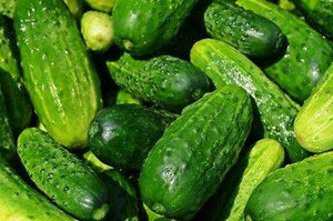 Cucumber Spacemaster 80 Seeds Heirloom Non-GMO (50+ Seeds)