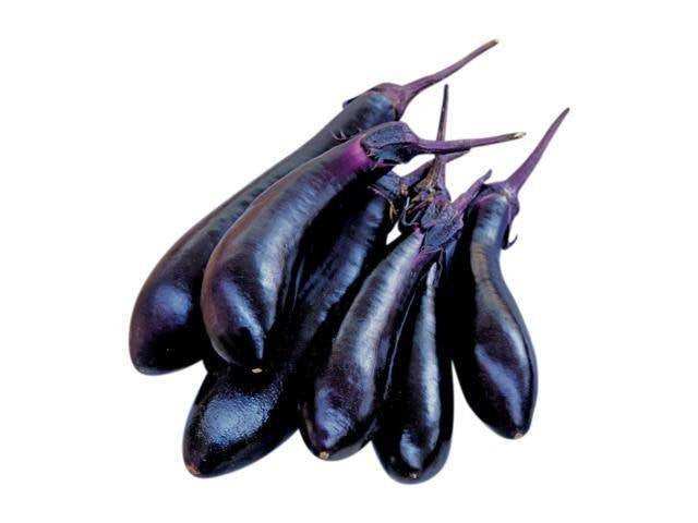 Eggplant Millionaire HYB. Seeds (25+ Seeds)